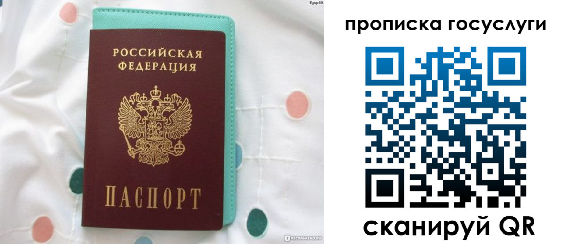 прописка поиск в Шахунье